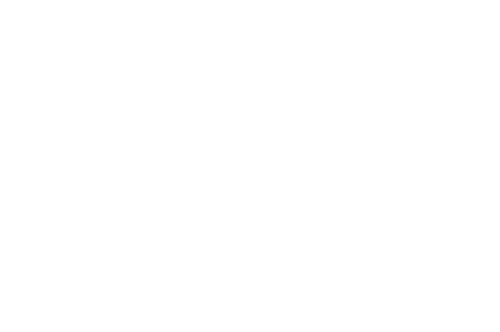 Winner Black Swan film script festival