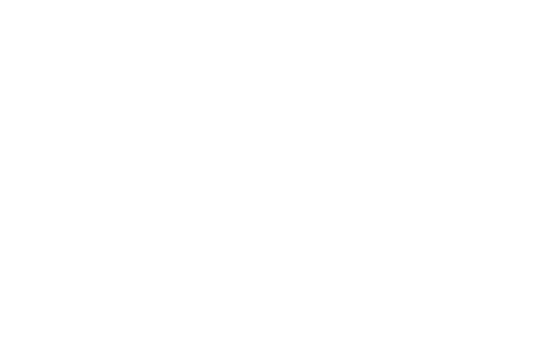 Script - Official Selection Wiki Screenplay Contest 2022